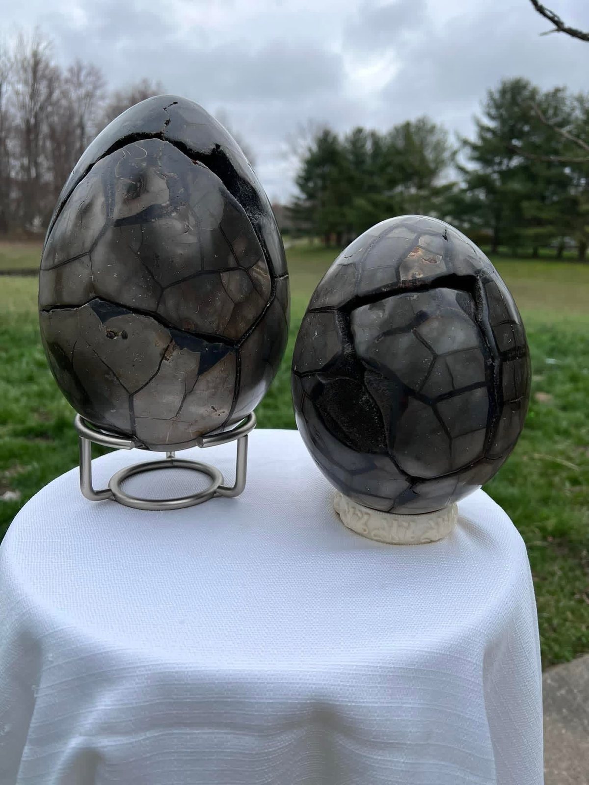 Separate Dragon Eggs from Foster Creations LLC