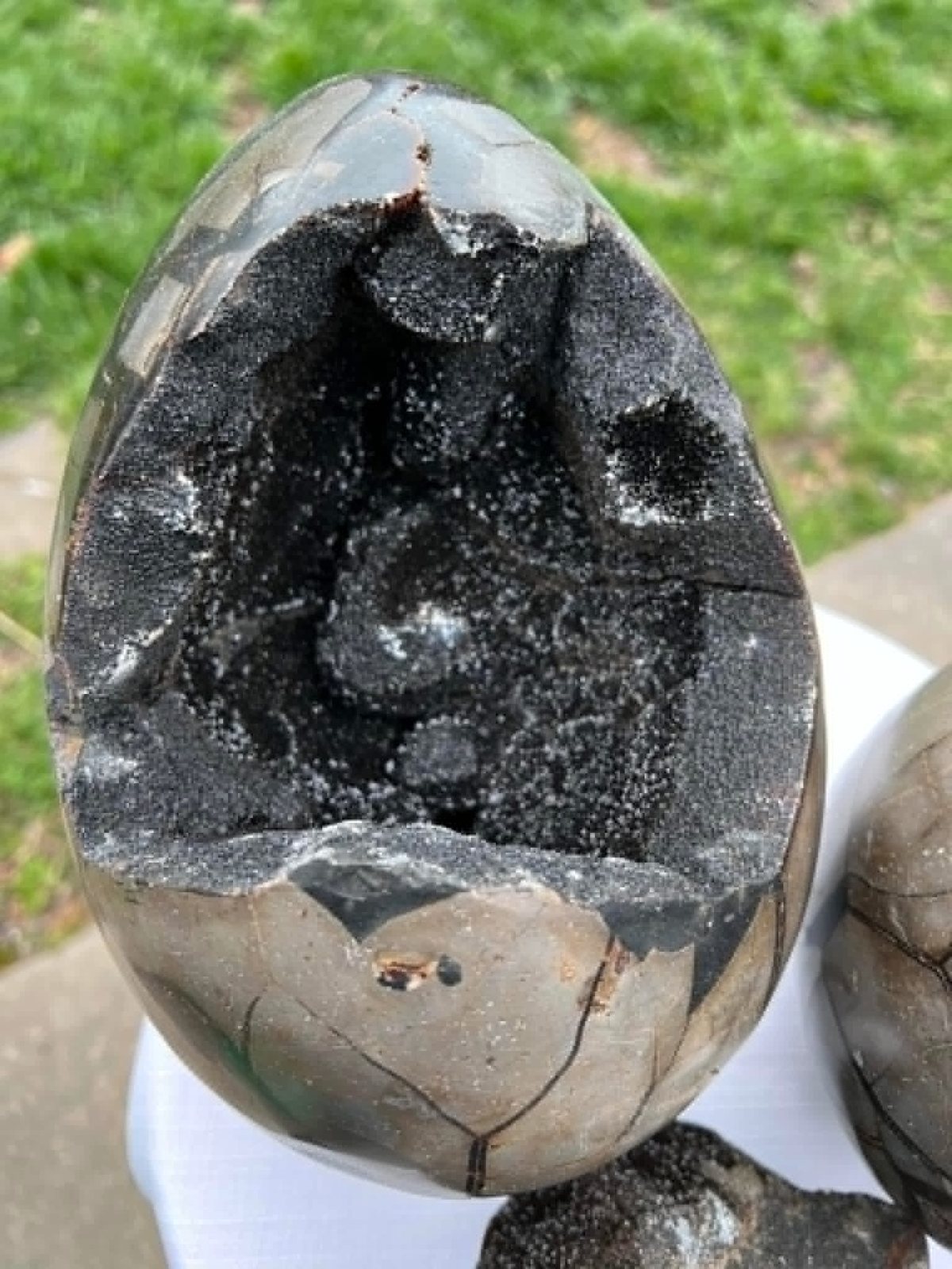 Dragon Egg Detail from Foster Creations LLC